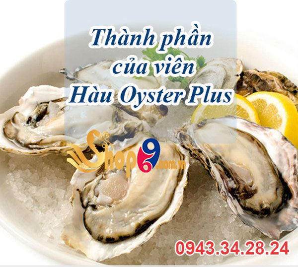 thành phần oyster plus