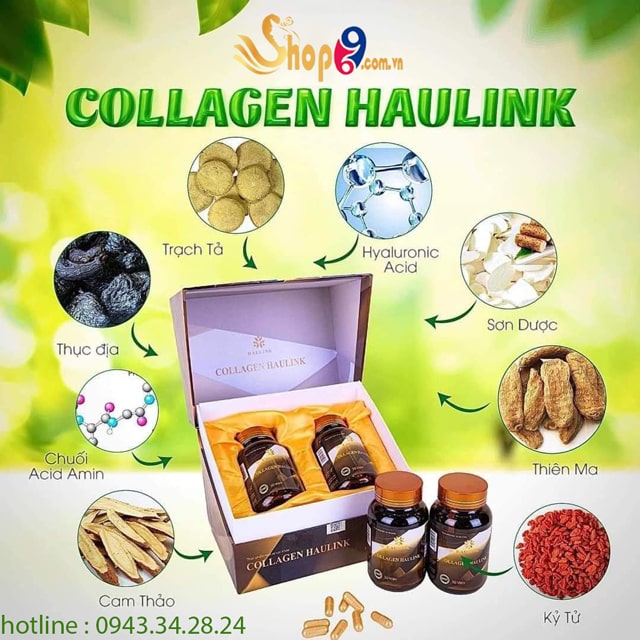 thành phần collagen haulink