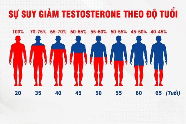 nồng độ testosterone theo độ tuổi